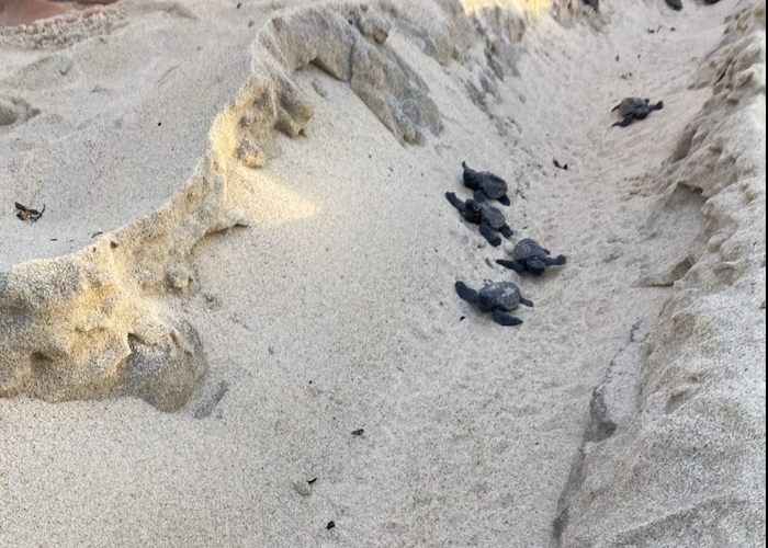 Captura de tela 2024-03-01 161815