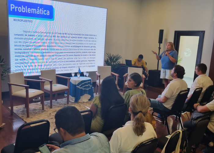 Captura de tela 2024-03-01 161923