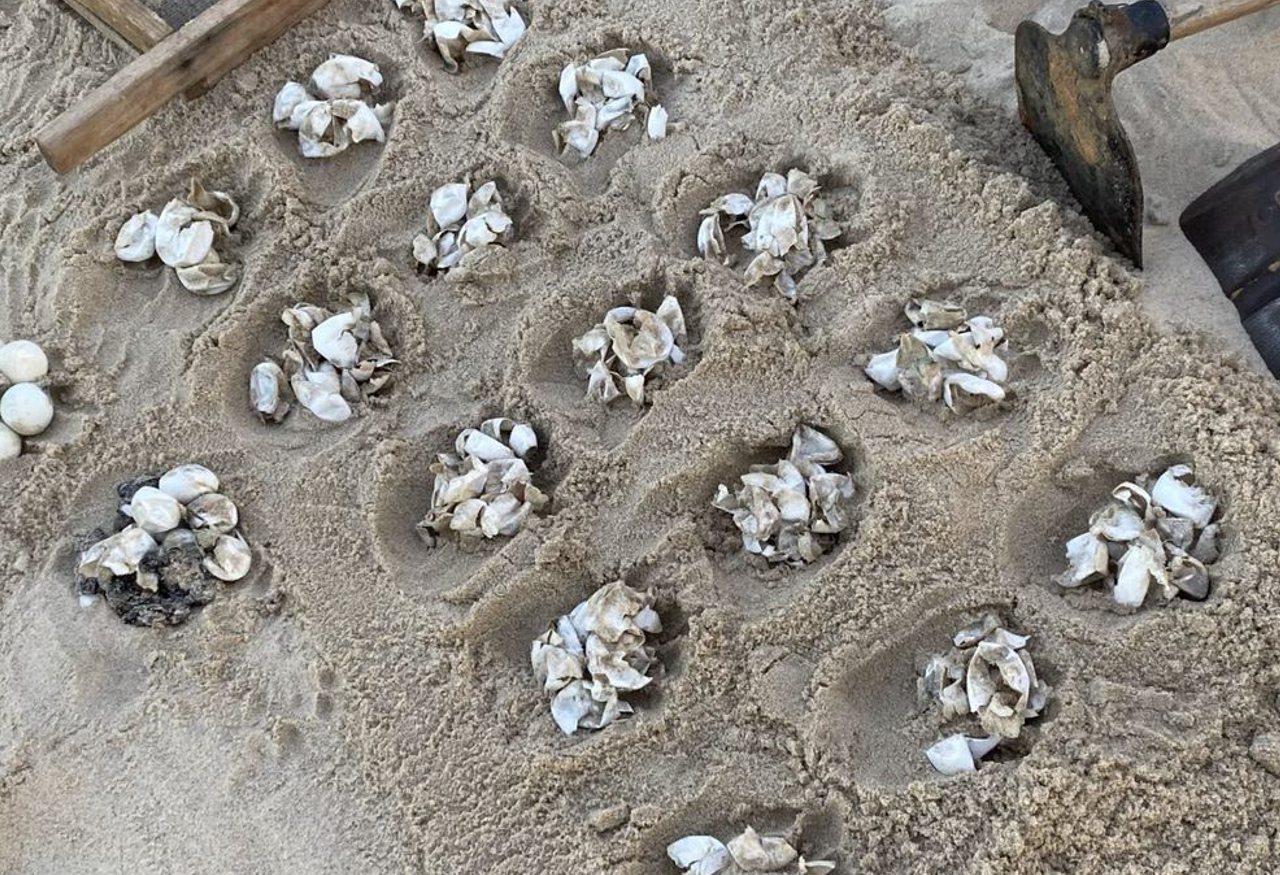 Captura de tela 2024-03-01 162644